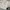 Nike Y2K Sportswear Hoody Pria gray photo 5