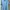 Lacoste Casual Formal shirt Pria blue photo 1