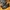 New Balance Streetwear Sportswear Sneakers Pria Black