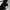 The North Face Streetwear Casual T-shirt Pria white black photo 4