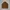 H&M Casual Pea coat Pria brown photo 2