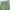Y2K High waisted jeans Wanita green photo 3