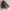 X-girl Streetwear Casual Bomber jacket Pria green brown photo 4