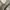 Uniqlo Streetwear Y2K Sweatshirt Pria gray photo 4
