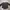 Futurist Crop top Wanita gray photo 1