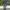 Uniqlo Casual Formal Pants Pria Gray