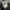 Nike Y2K Sweatshirt Pria green photo 5