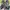 Sportswear Sneakers Pria green photo 3