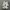 New Balance Casual Sneakers Pria gray photo 3