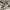 Golden Goose Luxury Sneakers Wanita white black photo 2