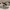 Golden Goose Luxury Sneakers Wanita white black photo 1