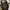 Golden Goose Luxury Sneakers Wanita white black photo 4