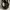 Golden Goose Luxury Sneakers Wanita white black photo 5