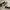 Golden Goose Luxury Sneakers Wanita white black photo 3