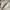 Golden Goose Luxury Sneakers Wanita White Black