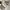 Golden Goose Luxury Minimalist Sneakers Pria white navy photo 2
