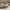 Golden Goose Luxury Minimalist Sneakers Pria silver white photo 1