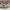 Golden Goose Luxury Minimalist Sneakers Pria white blue photo 1