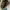 Golden Goose Luxury Minimalist Sneakers Pria white blue photo 6