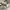Golden Goose Luxury Minimalist Sneakers Pria white blue photo 3