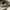 Golden Goose Luxury Minimalist Sneakers Wanita white tan photo 4