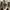 Golden Goose Luxury Minimalist Sneakers Wanita white tan photo 6
