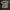Oakley Streetwear Y2K T-shirt Pria white photo 1