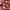Japanese brand Vintage Casual shirt Pria red photo 3
