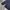 The North Face Sportswear Windbreaker Pria navy photo 4