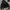VETEMENTS Luxury Windbreaker Pria green black photo 1
