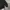 VETEMENTS Luxury Windbreaker Pria green black photo 5