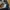 Patagonia Casual Sweatpants & Joggers Pria navy photo 4