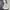 GU Gorpcore Sportswear Windbreaker Pria white photo 1