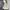 GU Gorpcore Sportswear Windbreaker Pria White