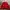Vintage Luxury Hoody Pria red photo 2