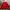 Vintage Luxury Hoody Pria red photo 1