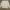 Casual Puffer jacket Pria gray photo 5