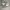 VANS Streetwear Minimalist Sneakers Wanita white black photo 3