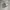 VANS Streetwear Minimalist Sneakers Wanita white black photo 1