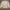 Casual Harrington jacket Pria gray photo 1