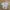 VANS Streetwear Y2K T-shirt Pria gray photo 4