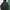 Carhartt Casual Suit Pria green photo 1