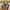 Japanese Brand Vintage Streetwear T-shirt Pria Multicolor