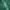 Starter Streetwear Sportswear Windbreaker Pria green photo 2