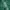 Starter Streetwear Sportswear Windbreaker Pria Green