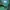 Starter Streetwear Sportswear Windbreaker Pria green photo 3