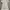 Casual Casual dress Wanita white photo 1