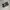 VANS Biker Skater Sneakers Pria white black photo 1