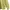 Jean-Michel Basquiat Streetwear Y2K Sweatshirt Pria khaki photo 4
