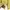 Jean-Michel Basquiat Streetwear Y2K Sweatshirt Pria khaki photo 5